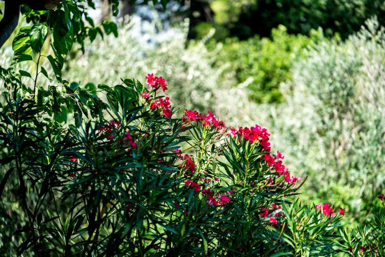 Agriturismo Le Chiusure San Felice del Benaco Esterno foto