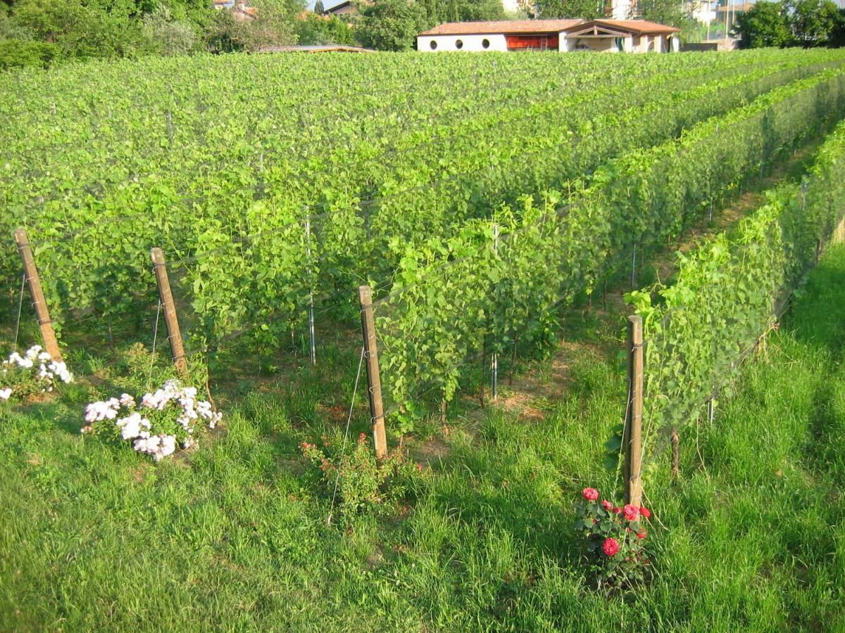 Agriturismo Le Chiusure San Felice del Benaco Esterno foto